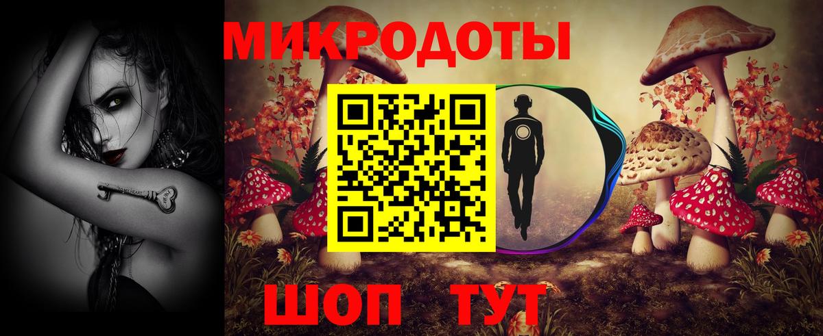 Псилоцибиновые грибы Psilocybe Туймазы